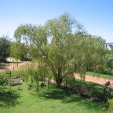 View of garden from balcony